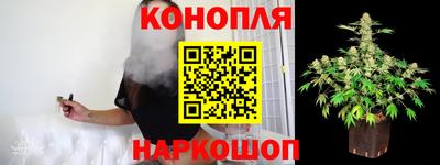 стафф Славгород